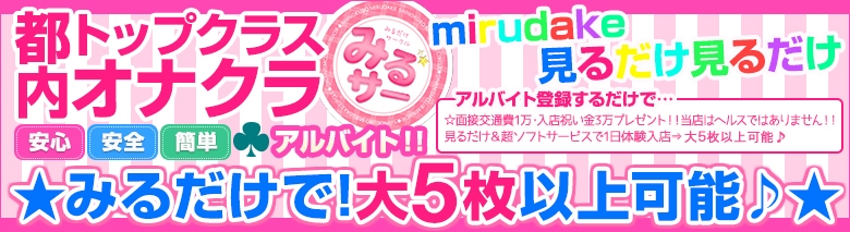 オナクラ みるサー　～みるだけサークル～ 